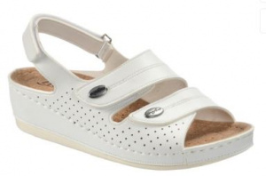 Снимок